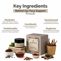 Jivantaherbal Kanaka Day Cream 3 in 1 primer | Moisturizer | Sunscreen with SPF 30+++ / UVA